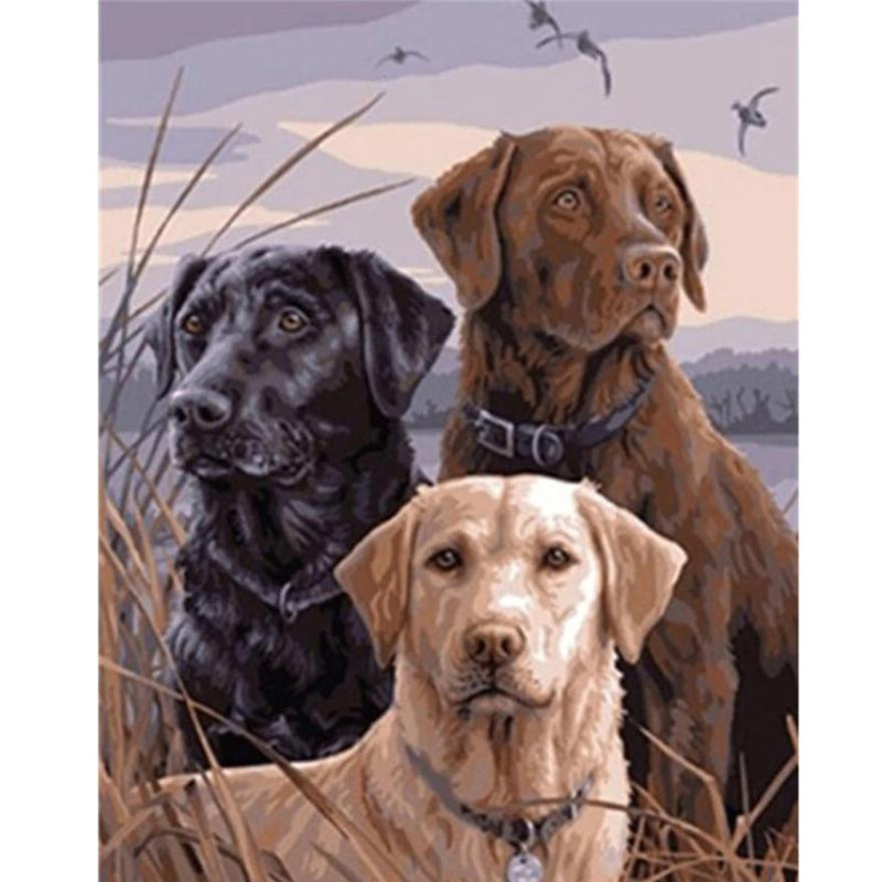 3 Labradors | Schilderen Op Nummer Schilderen op nummer eigen foto, Schilderen op nummer volwassenen, paint by numbers, verven op nummer, paard, kinderen